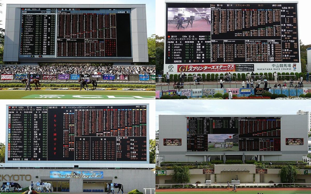 Odds-Board(JRA)