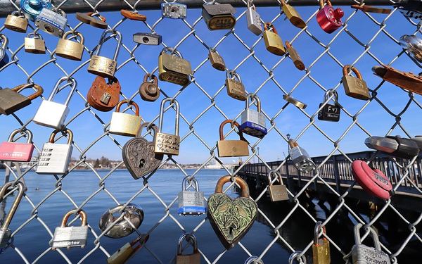 Locks on a fence